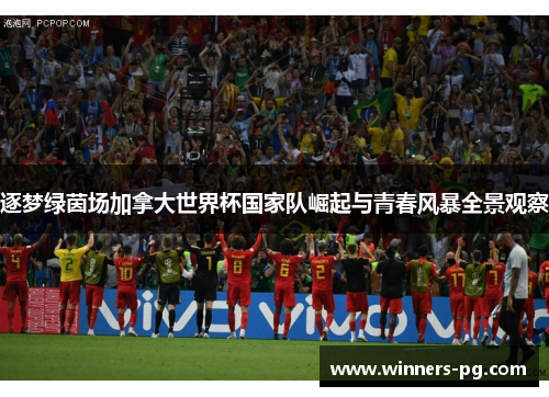 逐梦绿茵场加拿大世界杯国家队崛起与青春风暴全景观察